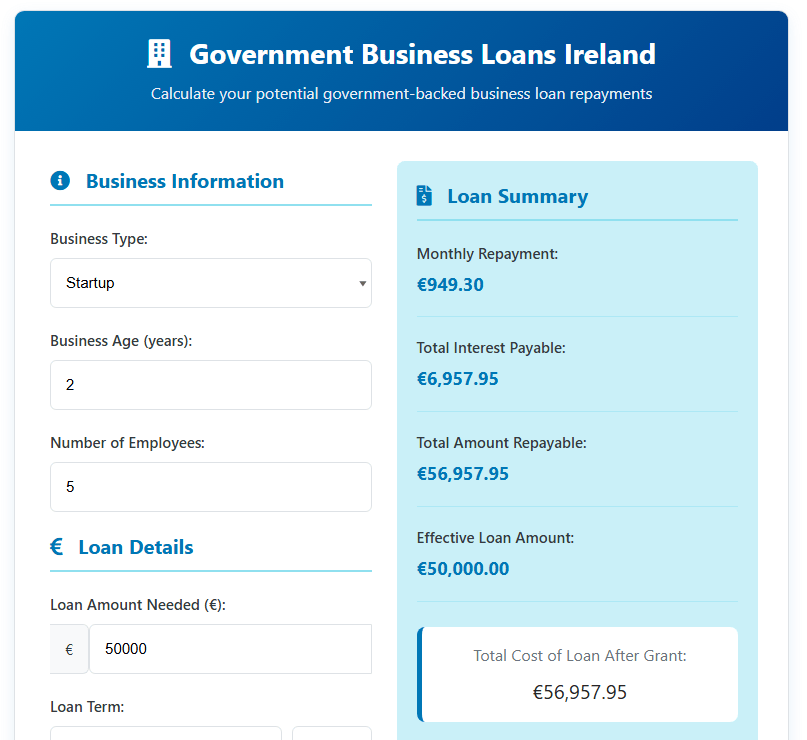 Government Business Loans Ireland